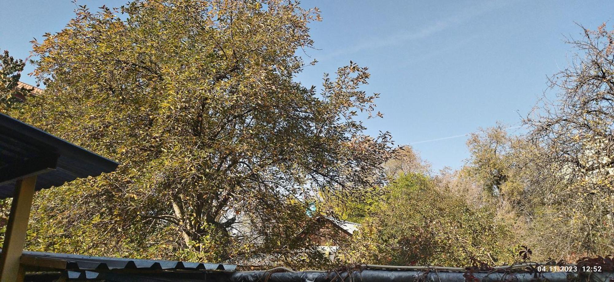 Квартира- Студия В Гостевом Доме Almatý Exterior foto